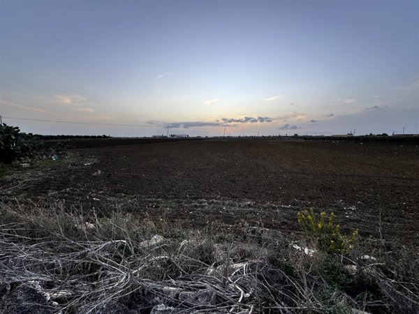 casa semindipendente in vendita a Misiliscemi