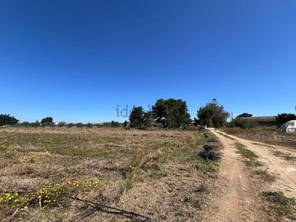 casa indipendente in vendita a Misiliscemi in zona Locogrande