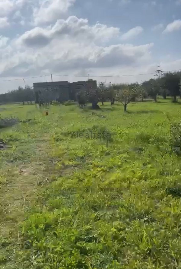 casa indipendente in vendita a Misiliscemi in zona Guarrato