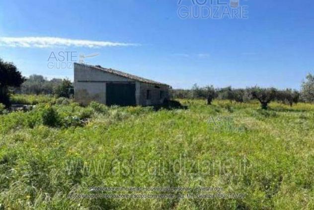 terreno agricolo in vendita a Misiliscemi