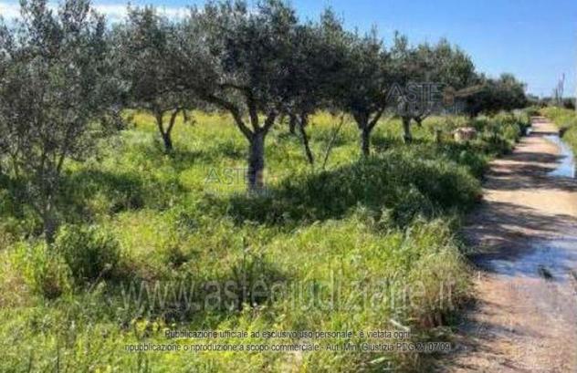 terreno agricolo in vendita a Misiliscemi