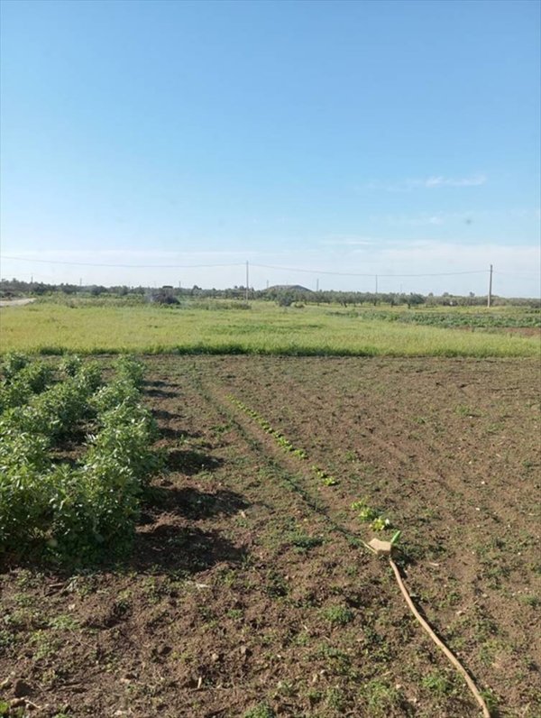 casa indipendente in vendita a Misiliscemi in zona Locogrande