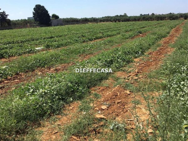 terreno agricolo in vendita a Misiliscemi in zona Guarrato