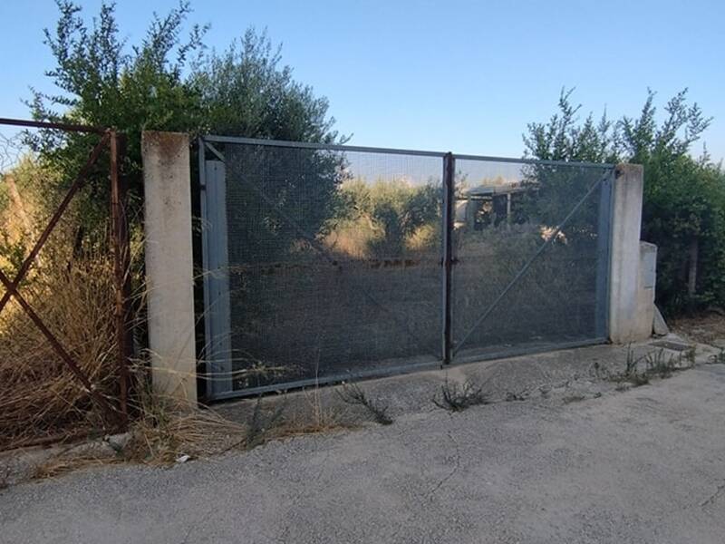 terreno agricolo in vendita a Misiliscemi in zona Rilievo