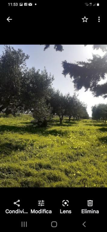 terreno agricolo in vendita a Misiliscemi in zona Salinagrande