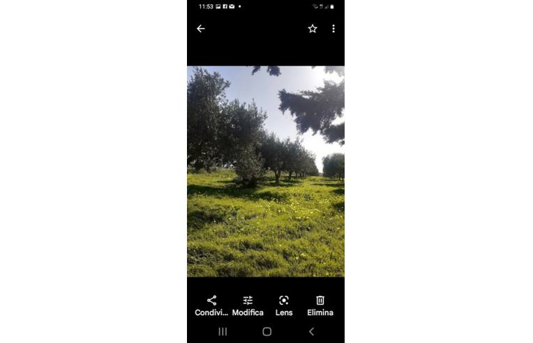 terreno agricolo in vendita a Misiliscemi in zona Salinagrande