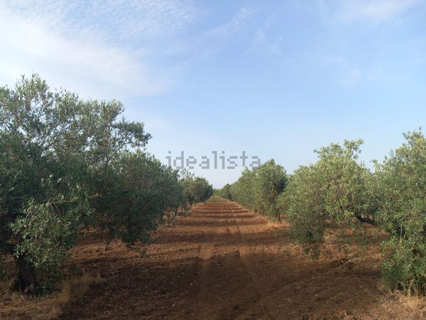 terreno in vendita a Misiliscemi in zona Locogrande
