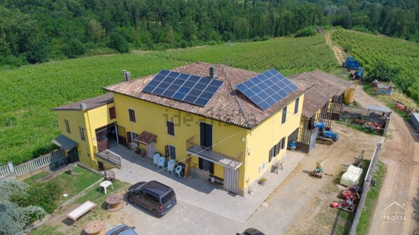 esavano in vendita a Mombaruzzo