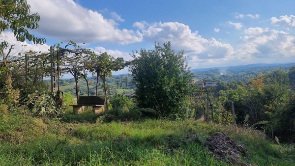 esavano in vendita a Mombercelli