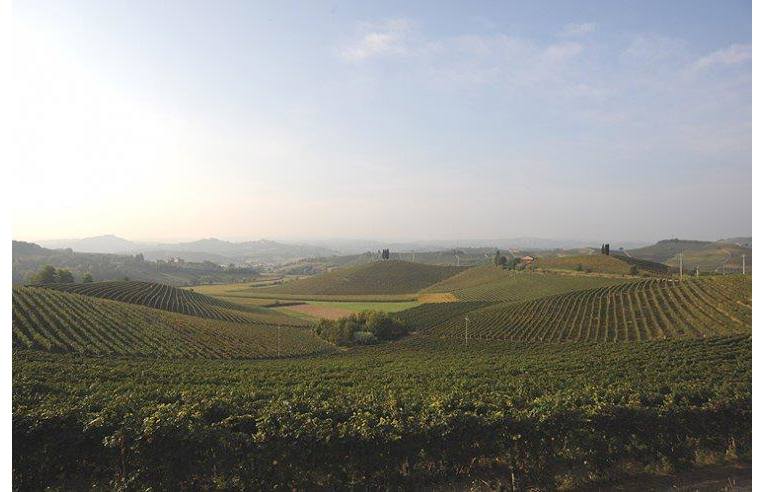 casa indipendente in vendita a Mombercelli in zona Moncucco