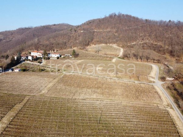 terreno agricolo in vendita a Monastero Bormida