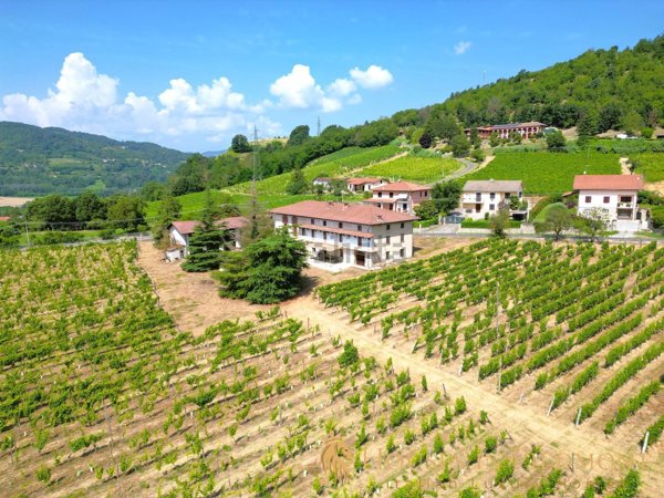 casale in vendita a Monastero Bormida