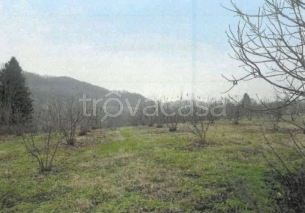 terreno agricolo in vendita a Monastero Bormida