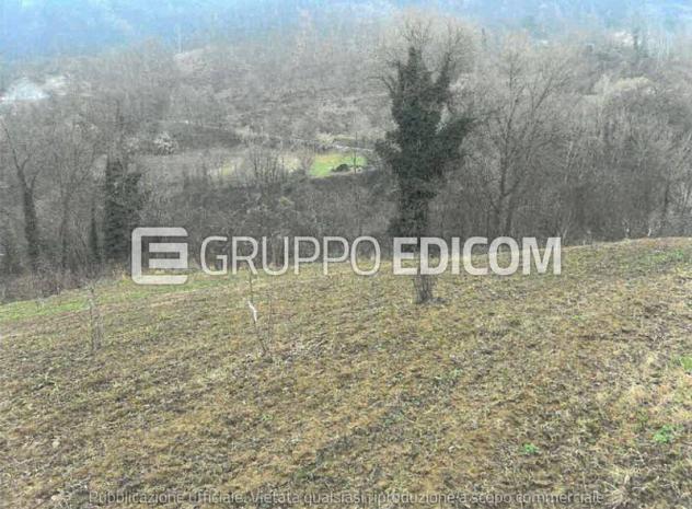 terreno agricolo in vendita a Monastero Bormida
