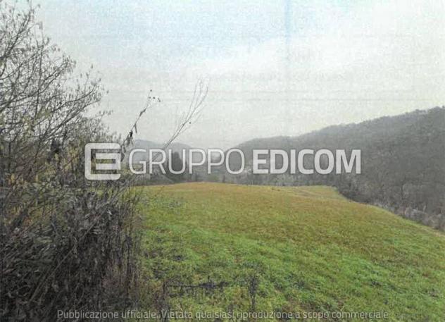terreno agricolo in vendita a Monastero Bormida