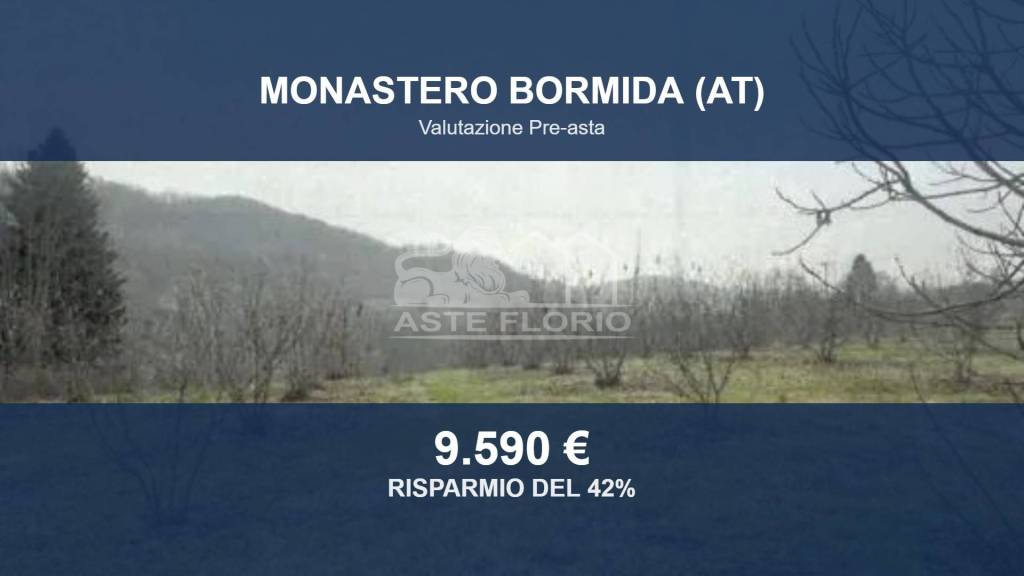 terreno edificabile in vendita a Monastero Bormida