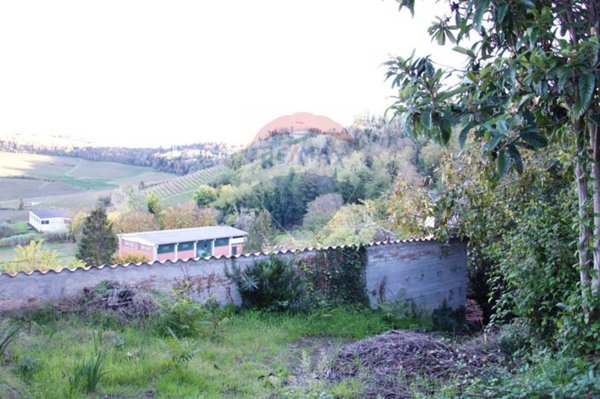 terreno agricolo in vendita a Moncalvo