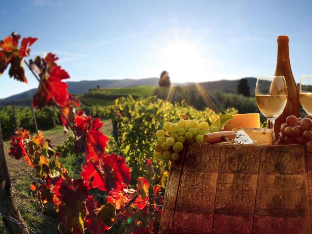 negozio in vendita a Moncalvo