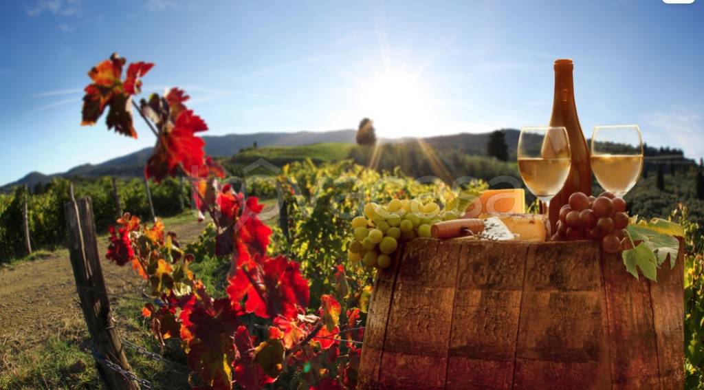 negozio in vendita a Moncalvo