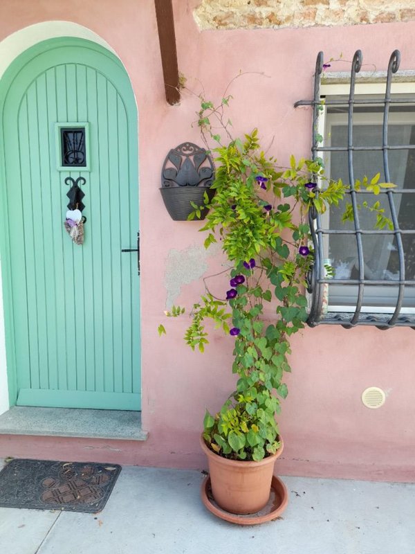 casa indipendente in vendita a Moncalvo