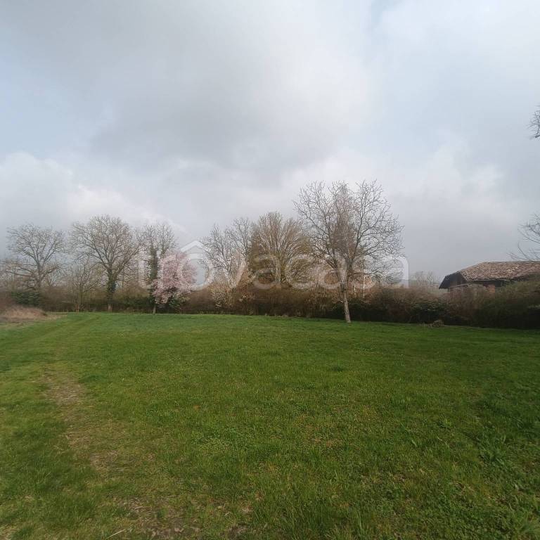 terreno agricolo in vendita a Moncalvo