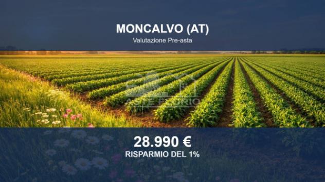 terreno agricolo in vendita a Moncalvo