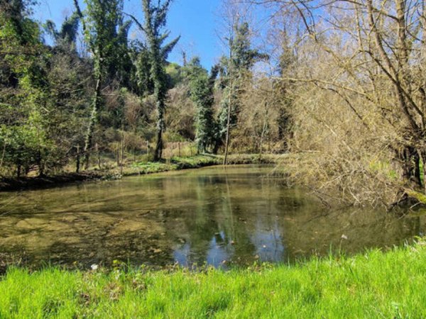 terreno agricolo in vendita a Moncucco Torinese
