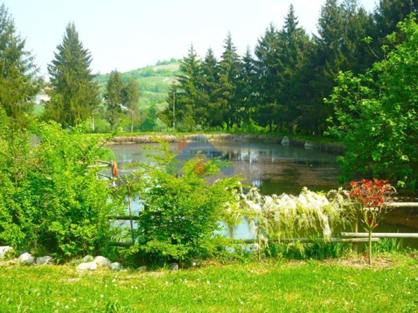 negozio in vendita a Moncucco Torinese