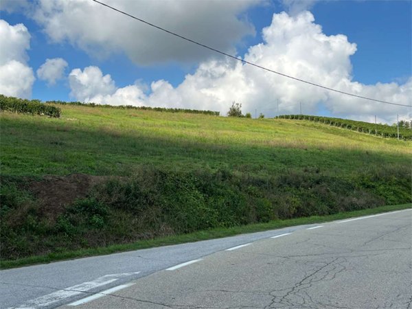 casa indipendente in vendita a Mongardino