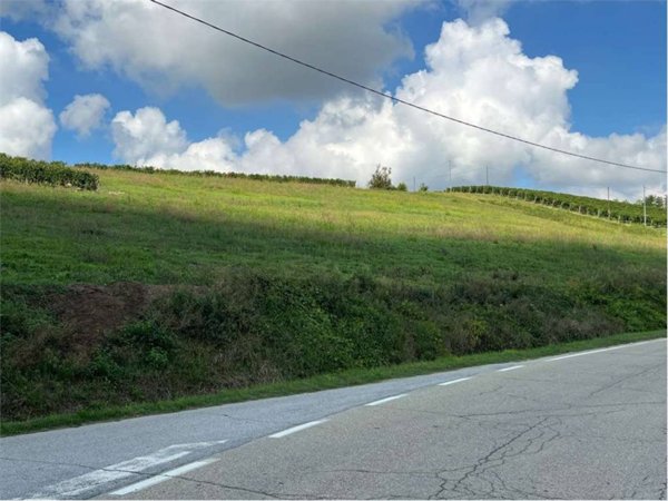 terreno agricolo in vendita a Mongardino