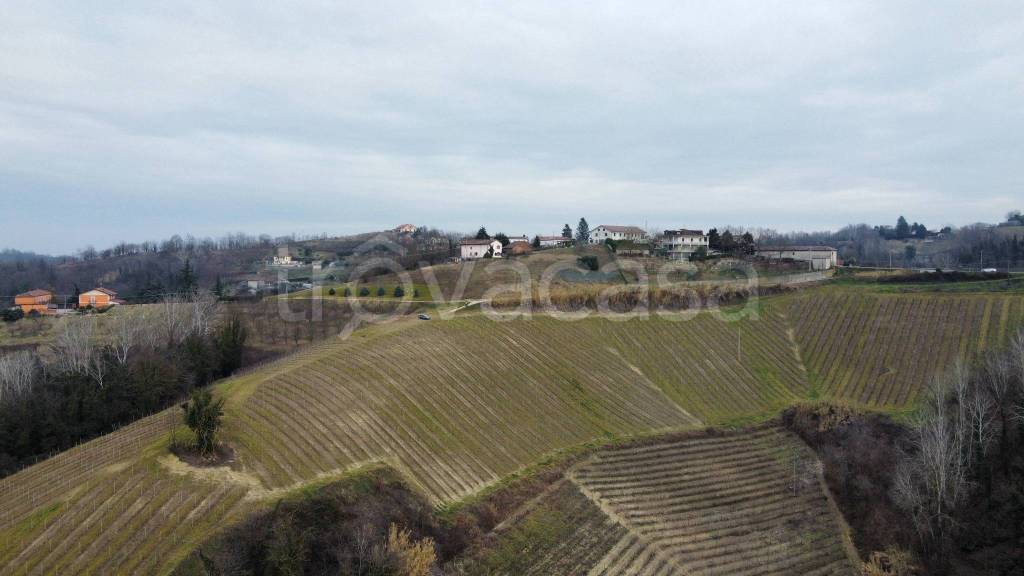 terreno agricolo in vendita a Mongardino