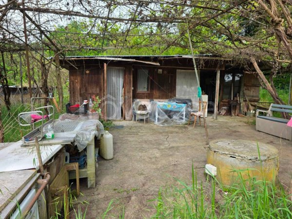 terreno agricolo in vendita a Montafia