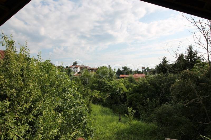 casa indipendente in vendita a Montafia