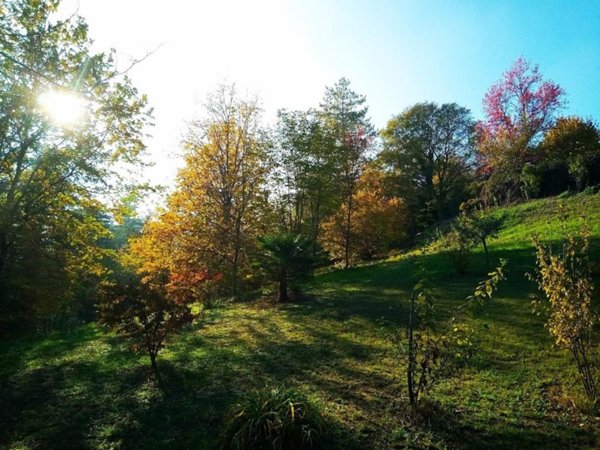 casa indipendente in vendita a Montafia
