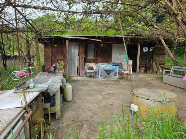 terreno agricolo in vendita a Montafia