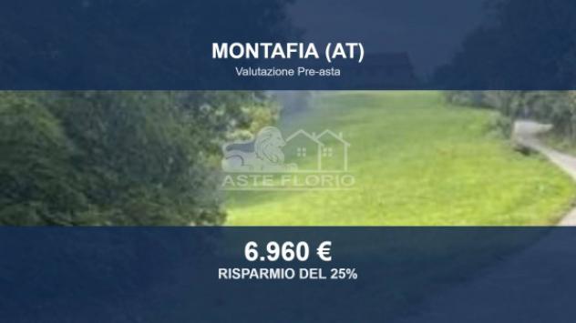 terreno agricolo in vendita a Montafia