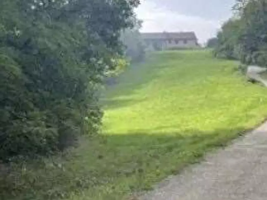 terreno agricolo in vendita a Montafia