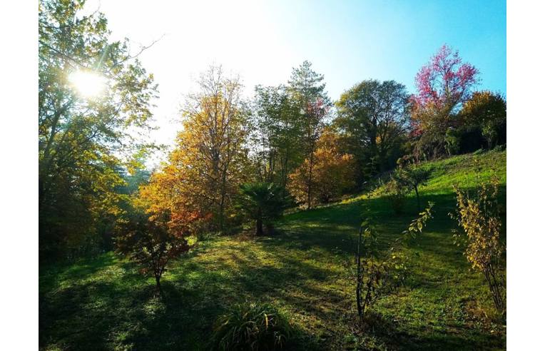 casa indipendente in vendita a Montafia