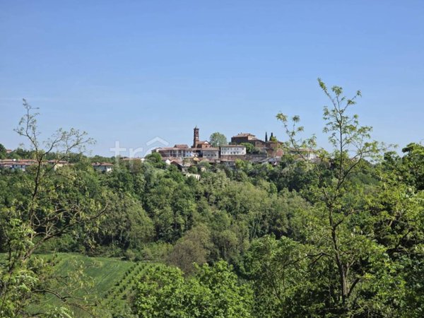 casa indipendente in vendita a Montechiaro d'Asti