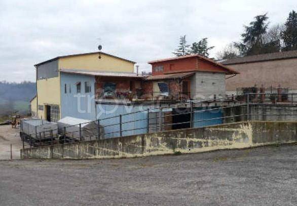 locale commerciale in vendita a Montechiaro d'Asti in zona Nocciola