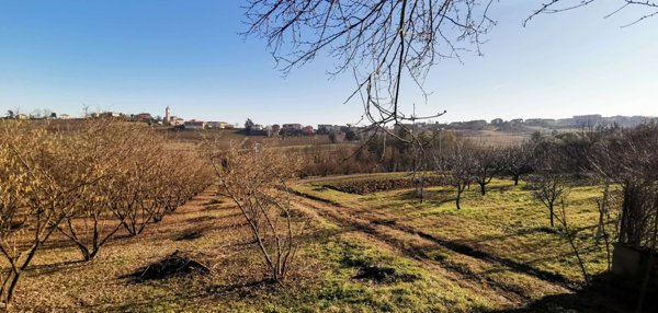 casa indipendente in vendita a Montegrosso d'Asti