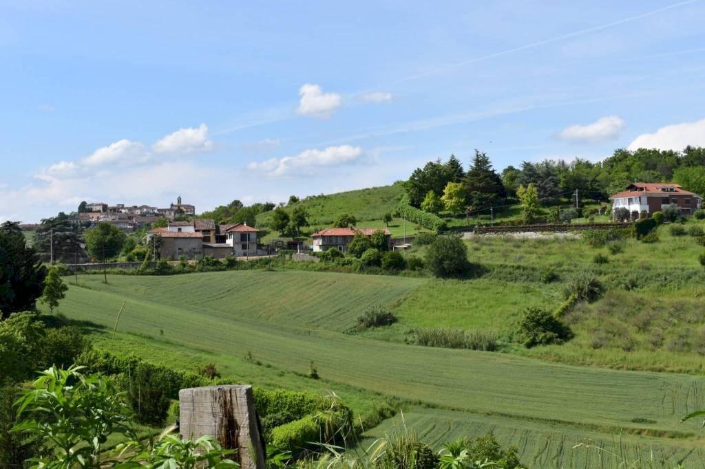 casale in vendita a Montegrosso d'Asti