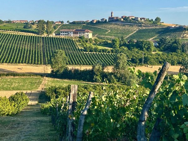 casa indipendente in vendita a Montegrosso d'Asti