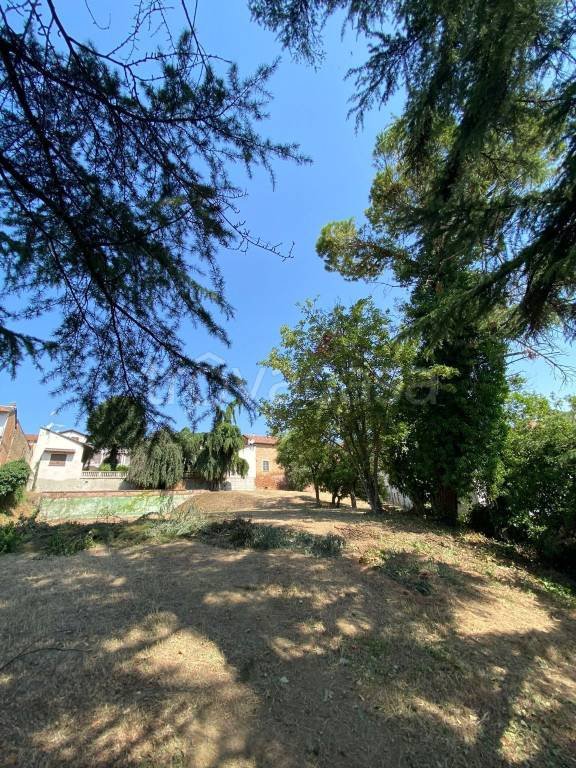 terreno agricolo in vendita a Montemagno Monferrato