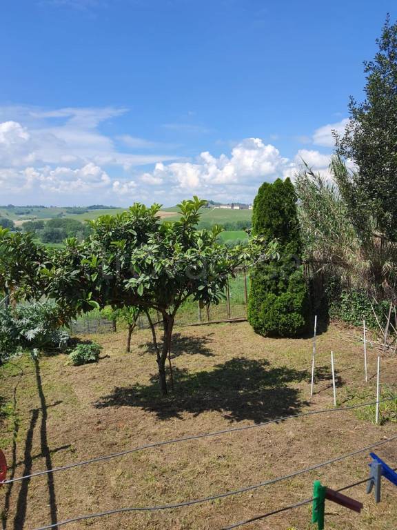 casa indipendente in vendita a Montemagno Monferrato