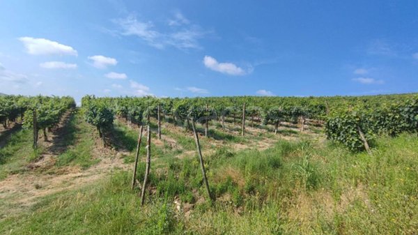 casa indipendente in vendita a Nizza Monferrato
