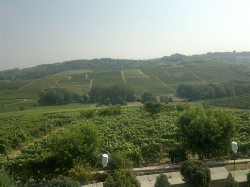 negozio in vendita a Nizza Monferrato