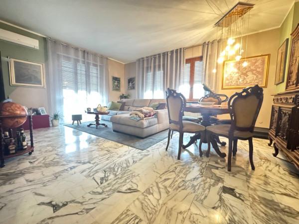 immagine annuncio 0 di 15