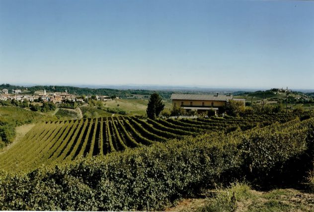 azienda agricola in vendita a Nizza Monferrato