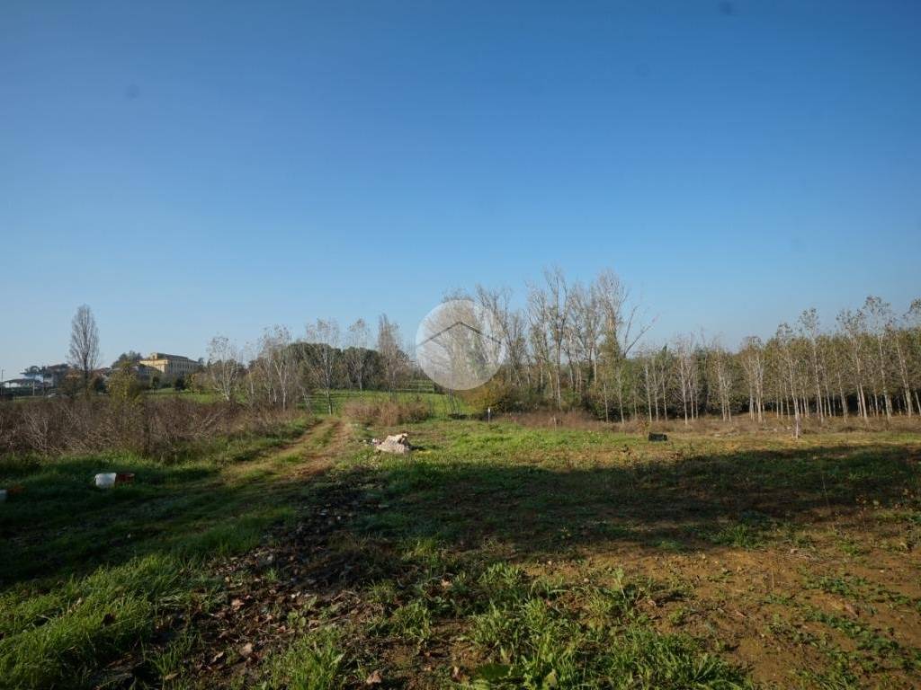 terreno agricolo in vendita a Nizza Monferrato